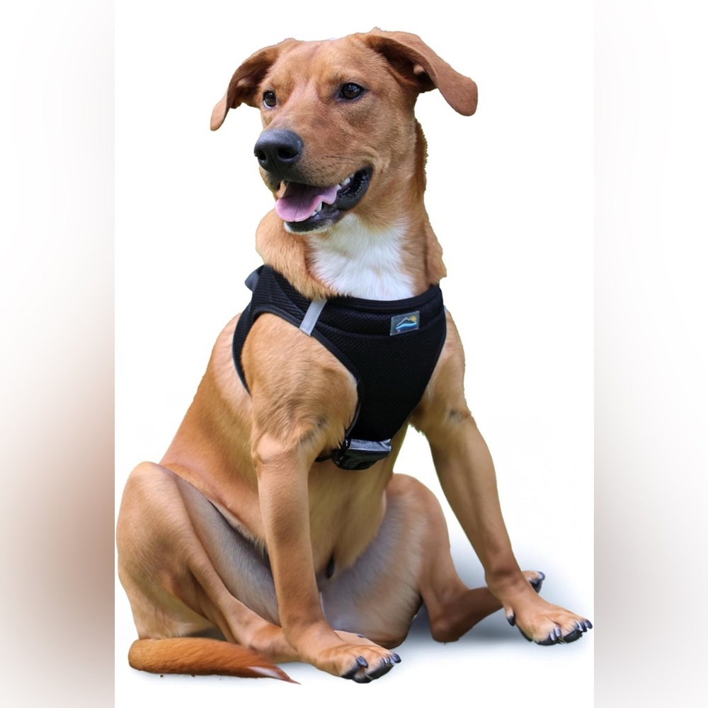 Dog Harness - No Choke Dog Harness, Dog Vest, Mesh Polyester Black XXL